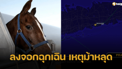 เครื่องบินบรรทุกสินค้าของสหรัฐฯ ลงจอดฉุกเฉิน เหตุม้าหลุดคอกวิ่งพล่านทั่วเครื่องบิน