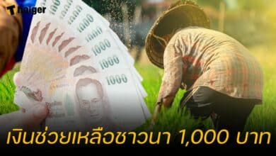 เงินช่วยเหลือชาวนา 1000 เข้าวันไหน