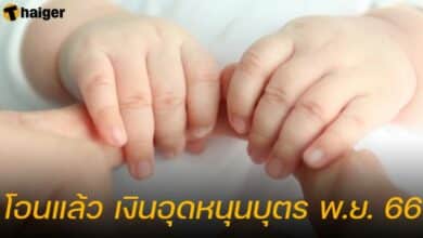 เงินอุดหนุนบุตร พ.ย. 2566