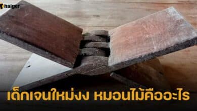 เด็กเจนใหม่งง หมอนไม้คืออะไร