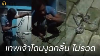 เทพเจ้าโดนงูฉกลิ้น ไม่รอด