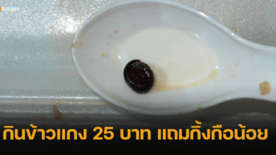 เผยภาพสุดสยอง สาวกินข้าวแกง 25 บาท เขี่ยจอกิ้งกือน้อยขดในอาหาร