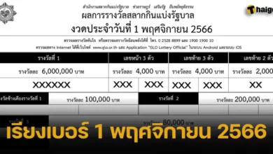 เรียงเบอร์ 1 พฤศจิกายน 2566