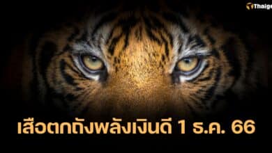 เลขเด็ด เสือตกถังพลังเงินดี 1 12 66