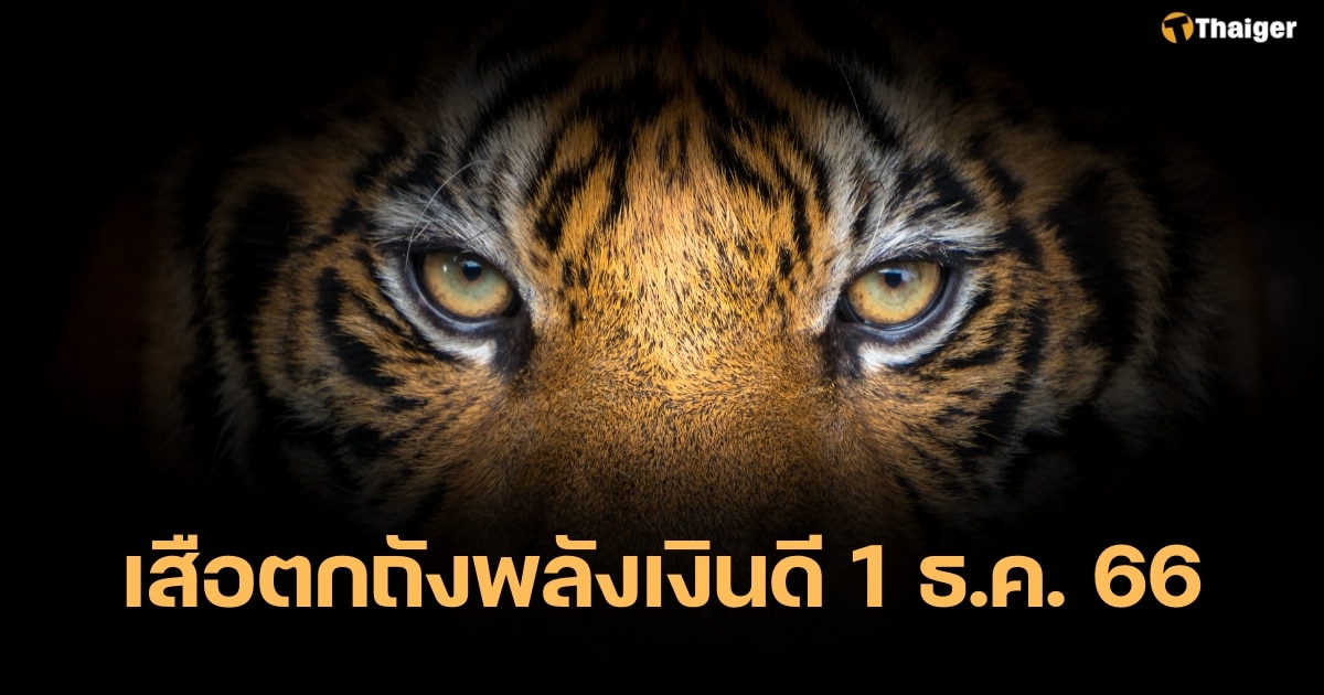 เลขเด็ด เสือตกถังพลังเงินดี 1 12 66