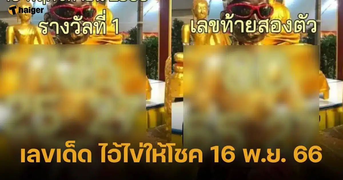 เลขเด็ด ไอ้ไข่ให้โชค 16 11 66