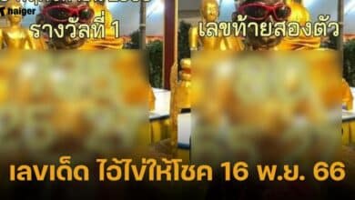 เลขเด็ด ไอ้ไข่ให้โชค 16 พ.ย. 66