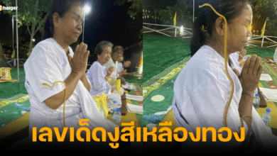 เลขเด็ดงูสีเหลืองทอง