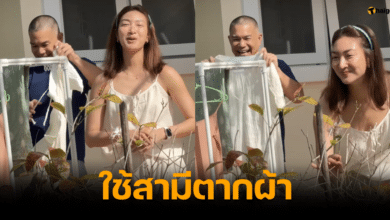 แพนเค้ก เขมนิจ ใช้สามีตากผ้า