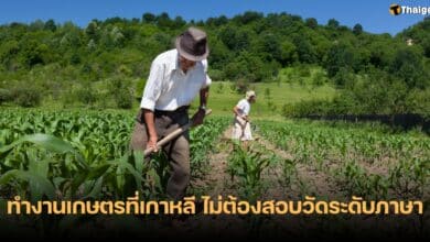 แรงงานเกษตร ประเทศเกาหลีใต้