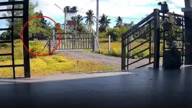 โจรถอยรถทับเจ้าของบ้าน