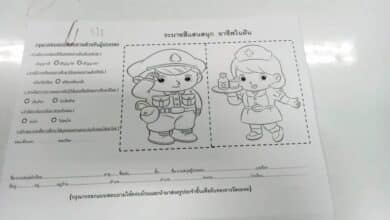 ใบงานลูก ขายประกัน