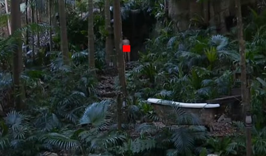 ไนเจล ฟาราจ แก้ผ้าออกทีวี