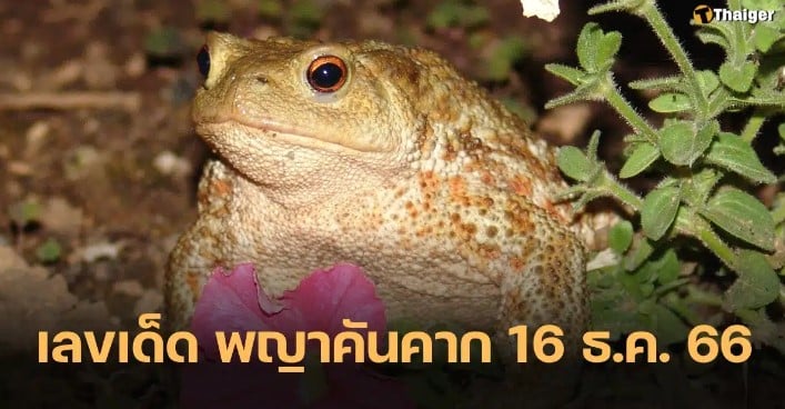 หวยพญาคันคาก 16 12 66