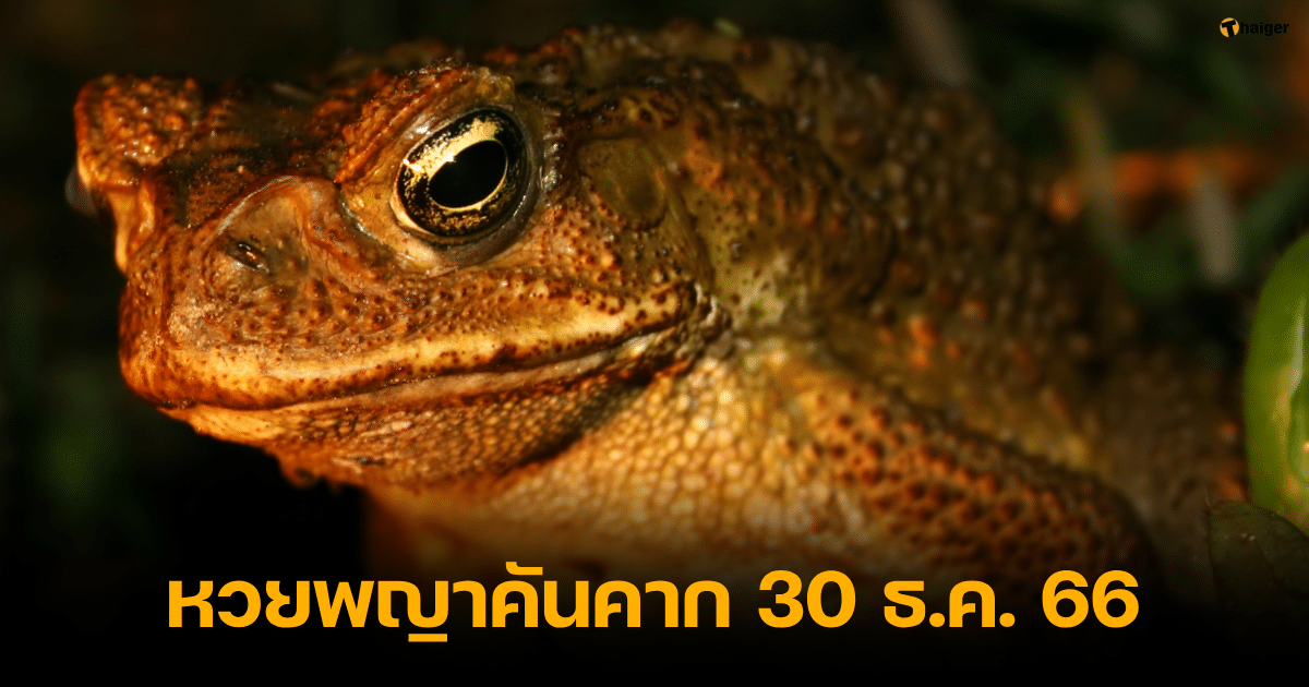 หวยพญาคันคาก 30 ธ.ค. 66