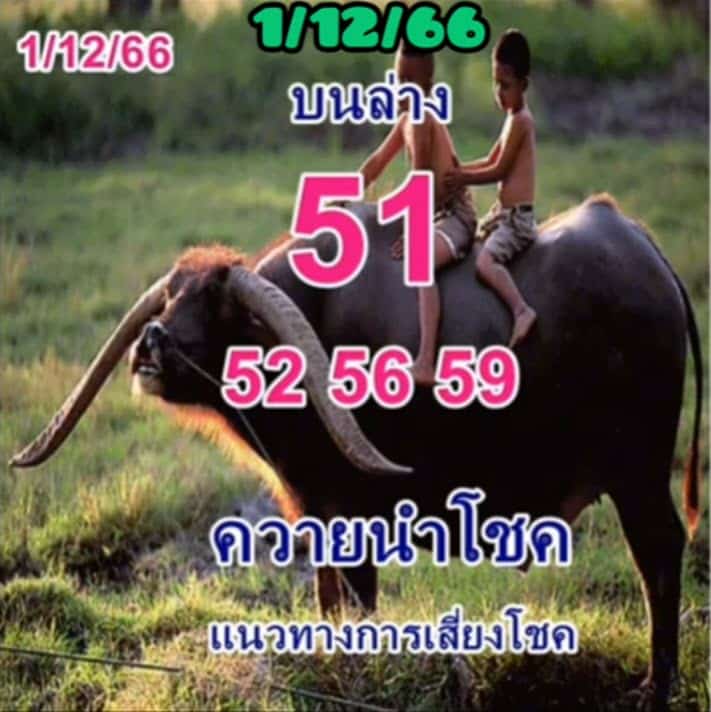 เลขเด็ด ควายนำโชค 1 12 66