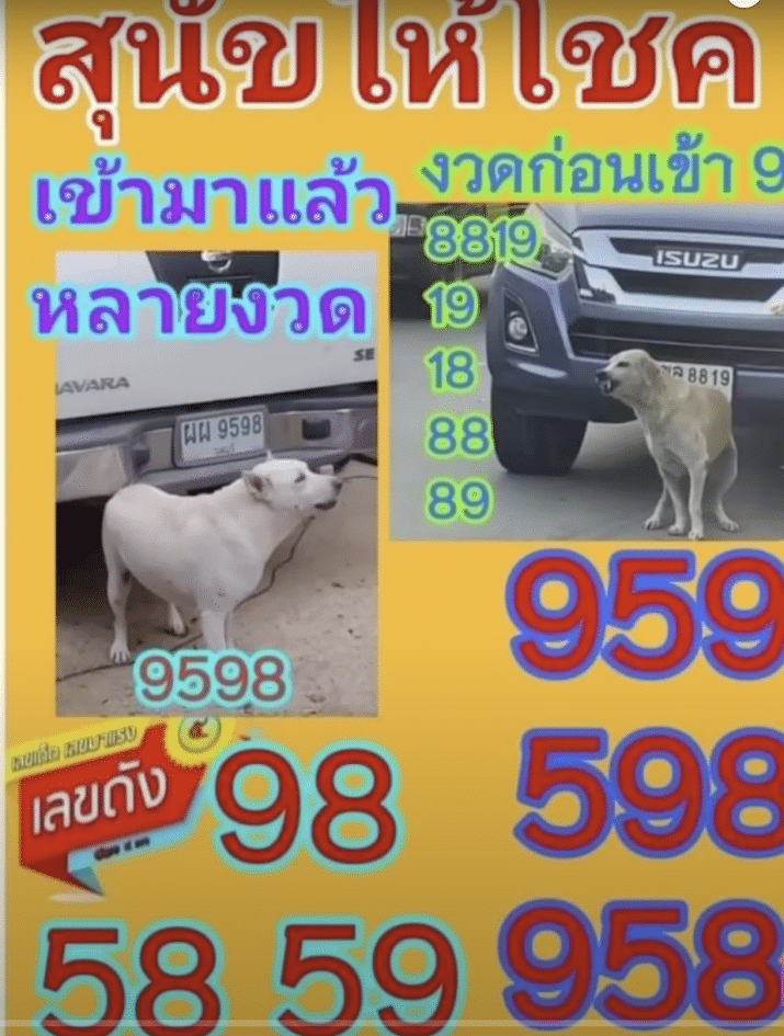 เลขเด็ด หมานำโชค 16 12 66