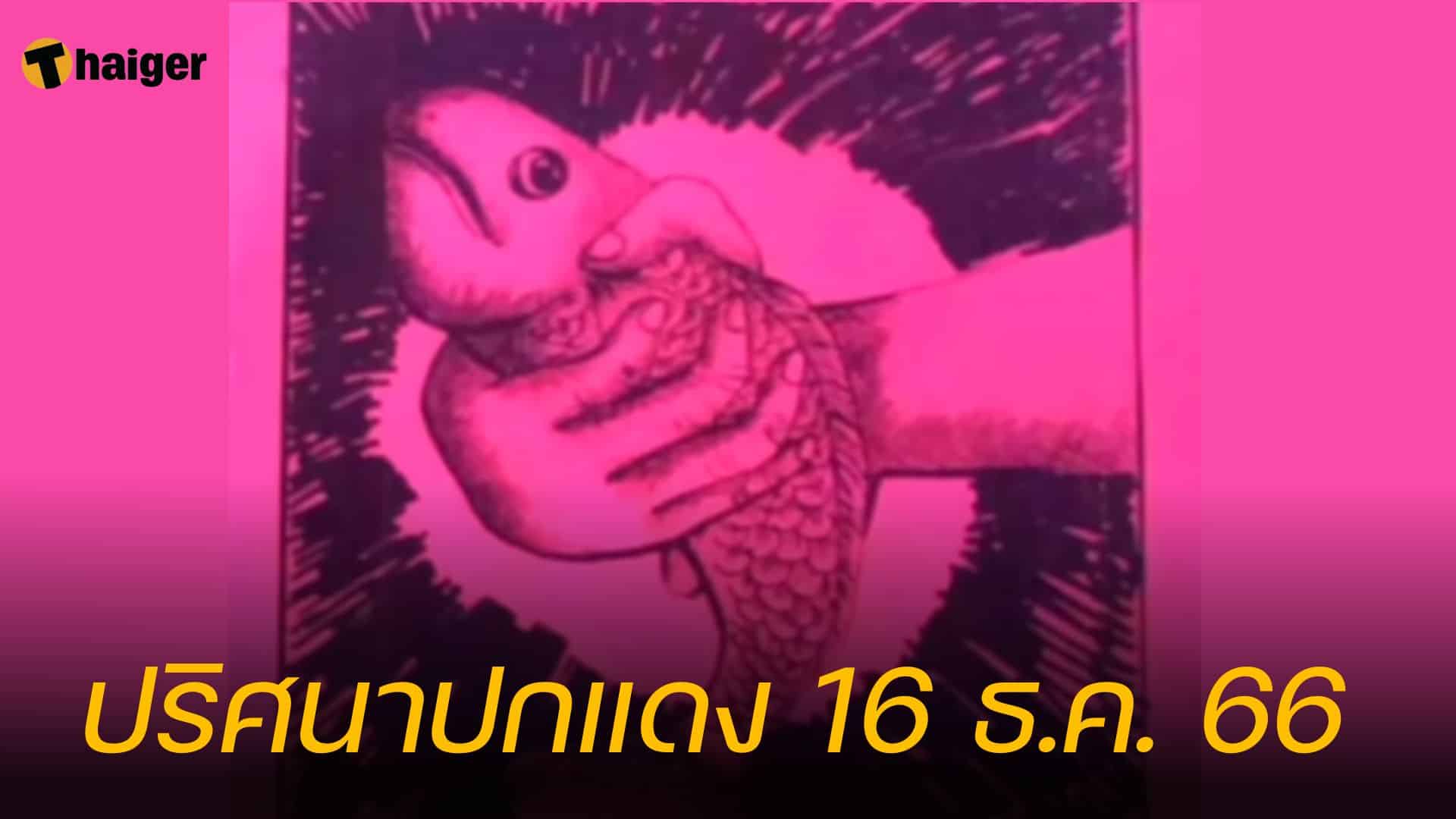 ส่องเลขเด็ด ปริศนาปกแดง แนวทางหวยโค้งสุดท้าย 16/12/66 | Thaiger ข่าวไทย