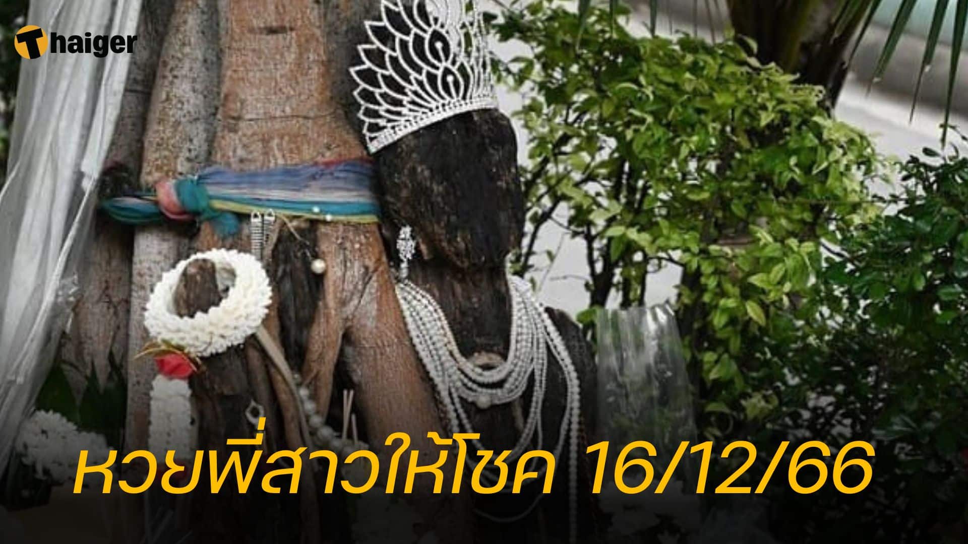 เลขเด็ด พี่สาวคนสวย ต้นไม้ให้โชค 16/12/66 ลุ้นเข้ารางวัลใหญ่หวยงวดนี้ | Thaiger ข่าวไทย