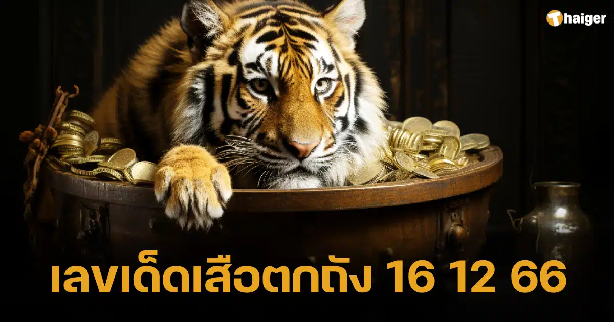 แนวทาง เลขเด็ดเสือตกถัง พลังเงินดี ลุ้นหวยกลางเดือน 16 12 66 | Thaiger ข่าวไทย