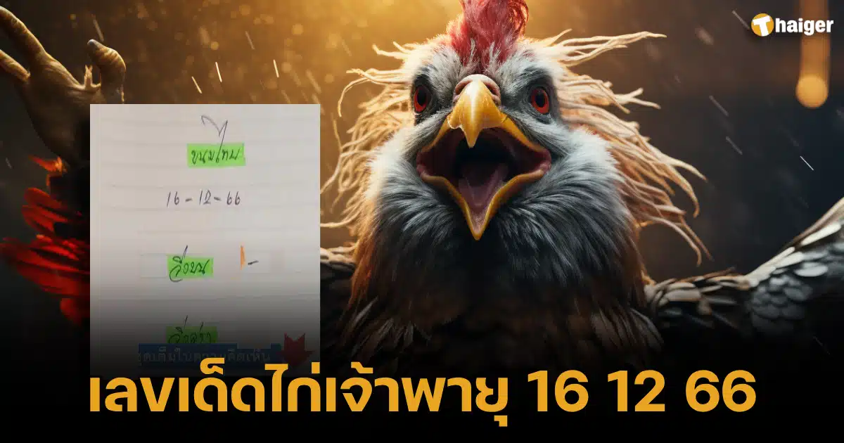 เลขเด็ด ไก่เจ้าพายุ 16 12 66 แนวทางลุ้นโชคใหญ่ เลข 2 ตัว | Thaiger ข่าวไทย