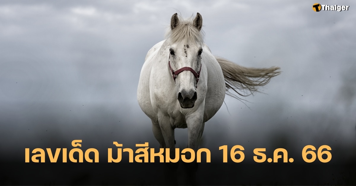 อาชาพารวย เลขเด็ดม้าสีหมอก 16 ธ.ค. 66 ส่องแนวทางเลขวิ่งบน-ล่าง | Thaiger ข่าวไทย