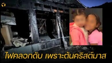 ไฟคลอกดับ เพราะต้นคริสต์มาส