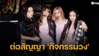 BLACKPINK ต่อสัญญา 'กิจกรรมวง' ราคาหุ้น YG Ent. พุ่งสูงเกือบ 23%