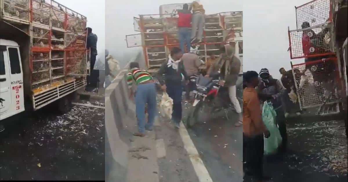 ข่าวอุบัติเหตุรถชน ขโมยไก่ที่อินเดีย