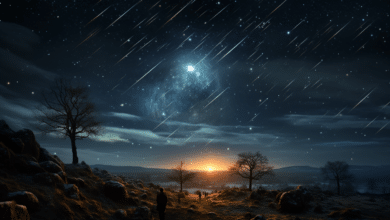 ฝนดาวตกเจมินิสด์ 2566 เวลา ทิศไหน