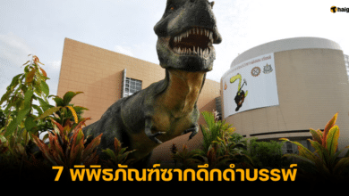 กรมทรัพยากรธรณี พิพิธภัณฑ์หน้าหนาว