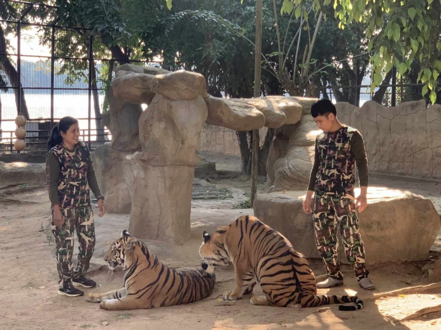 ฉีดวัคซีน สวนสัตว์บึงฉวาก ประจำปี