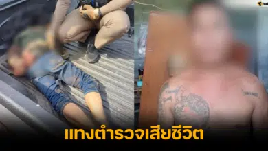 ชายหลอนยา แทงตำรวจเสียชีวิต