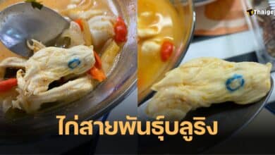 เนื้อไก่มีรอยปากกาเคมี