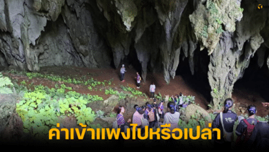 ถ้ำหลวง เปิดให้เข้าชม ตามรอยหมูป่า ค่าเข้าแพง
