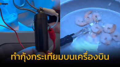 ทำกุ้งกระเทียมในห้องน้ำที่อ่างล้างมือบนเครื่องบิน