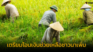 ธ.ก.ส. เตรียมโอนเงินช่วยเหลือชาวนาไร่ละ 1,000 บาท เพิ่ม