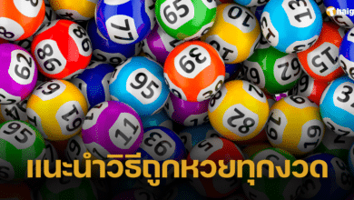 นักคณิตศาสตร์ เปิดเคล็ดลับถูกหวยทุกงวด แนะซื้อลอตเตอรี่ 27 ใบ