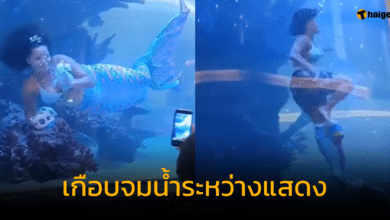 นางเงือกเกือบจมน้ำระหว่างแสดง