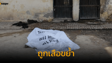 ปิดสวนสัตว์ในปากีสถาน หลังชายกระโดดเข้ากรงเสือ