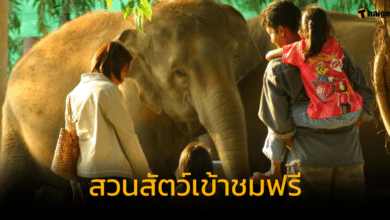 วันพ่อแห่งชาติ 5 ธันวาคม 2566 เข้าชมสวนสัตว์ฟรี
