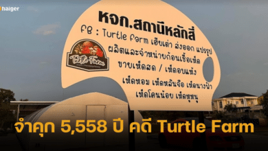 ศาลตัดสิน จำคุก 5,585 ปี คดีหลอกลงทุนฟาร์มเห็ด Turtle Farm