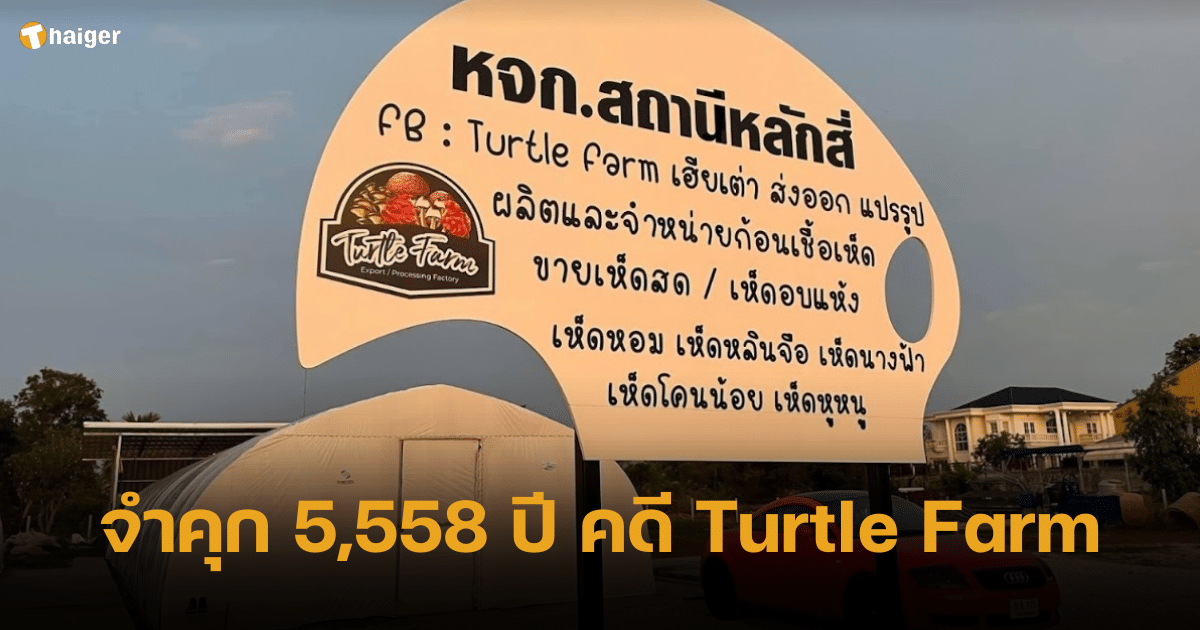 ศาลตัดสิน จำคุก 5,585 ปี คดีหลอกลงทุนฟาร์มเห็ด Turtle Farm