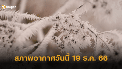 สภาพอากาศวันนี้ 19 ธ.ค. 66