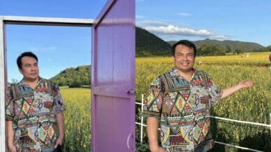 สมปองหายไปไหน