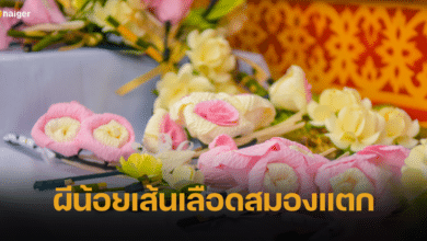 สุดเศร้า ผีน้อยเกาหลีถูกตำรวจจับ เครียดจนเส้นเลือดสมองแตก แม่เผยเคยบินไปดูอาการลูก