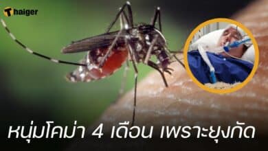 หนุ่มโคม่า 4 เดือน เพราะยุงกัด