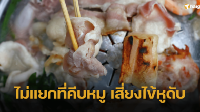 อ.เจษฎา เตือนทาสรักปิ้งย้างชาบู กินหมูดิบเสี่ยงเป็น 'ไข้หูดับ' อันตรายถึงชีวิต