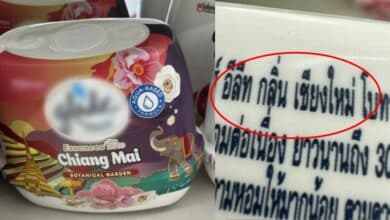 เจลปรับอากาศกลิ่นเชียงใหม่ ไวรัลในไทย