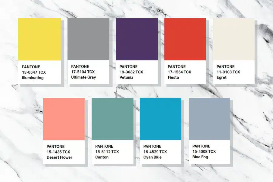 เทรนด์สี PANTONE